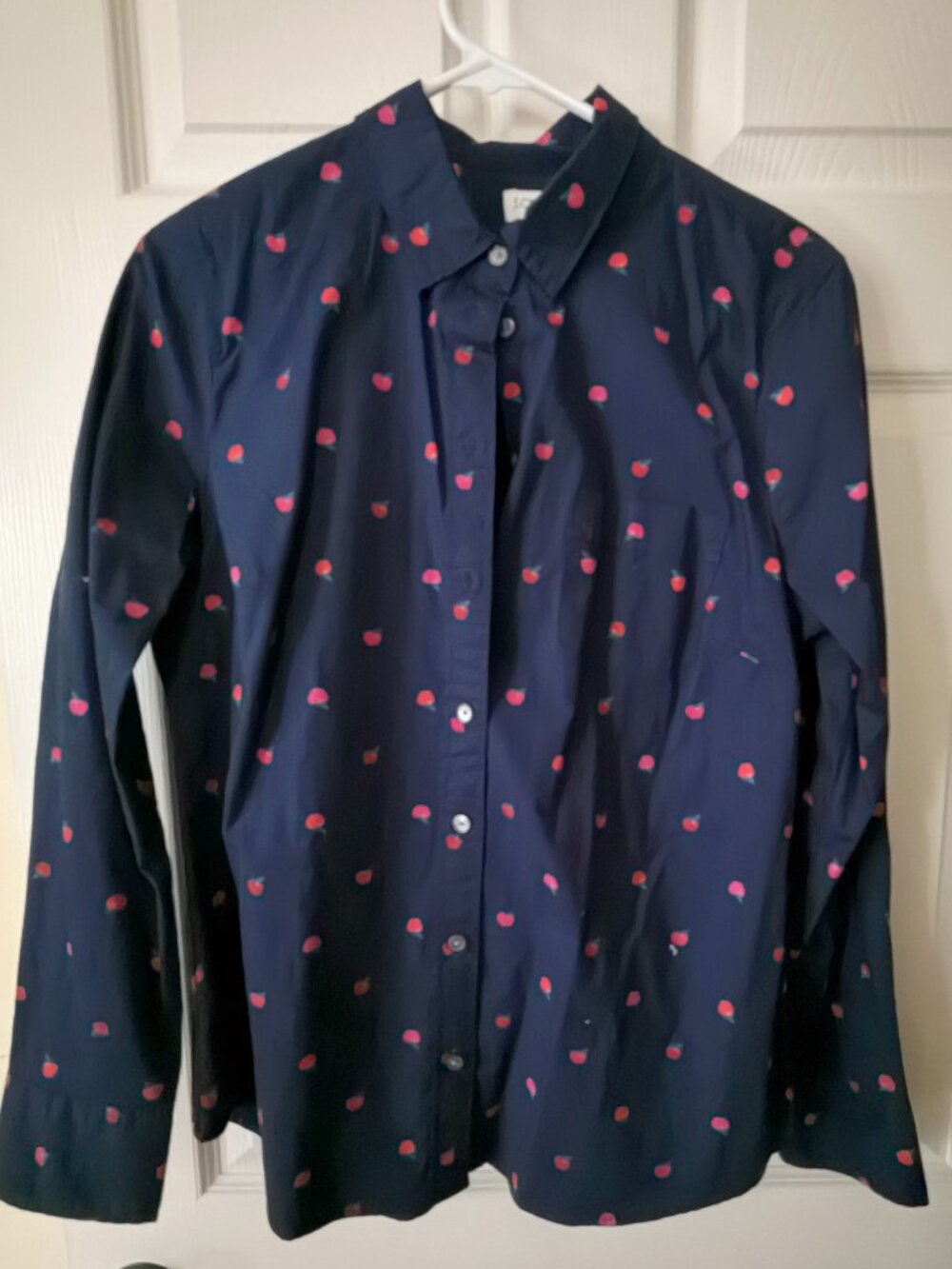 J.Crew Apple Print Button Down Shirt Navy Long Sleeve Poplin NWT M🍎 J.Crew Appl